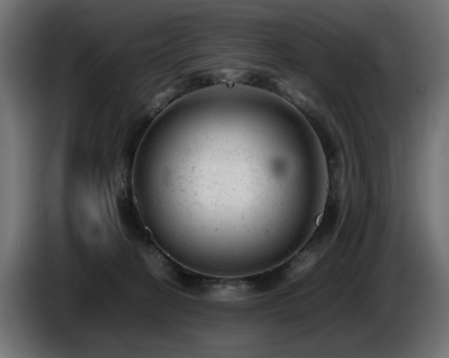 X0000087670274200705041016