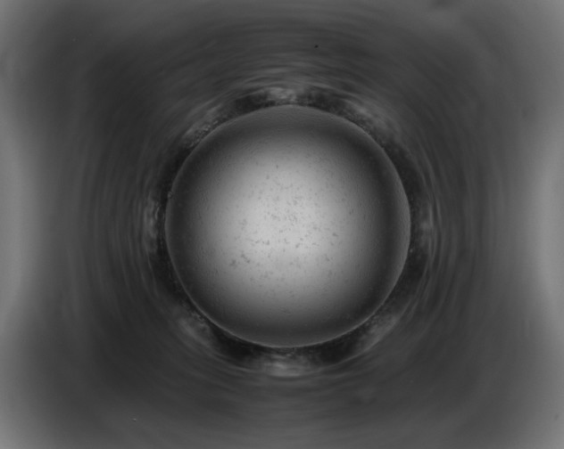 X0000087670275200705041016