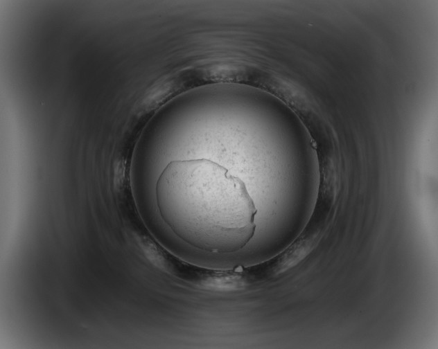 X0000087670278200705041016