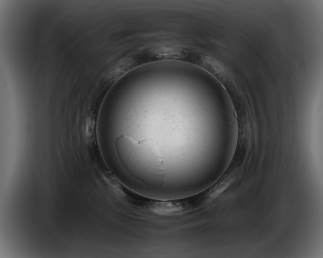 X0000087670281200705041016