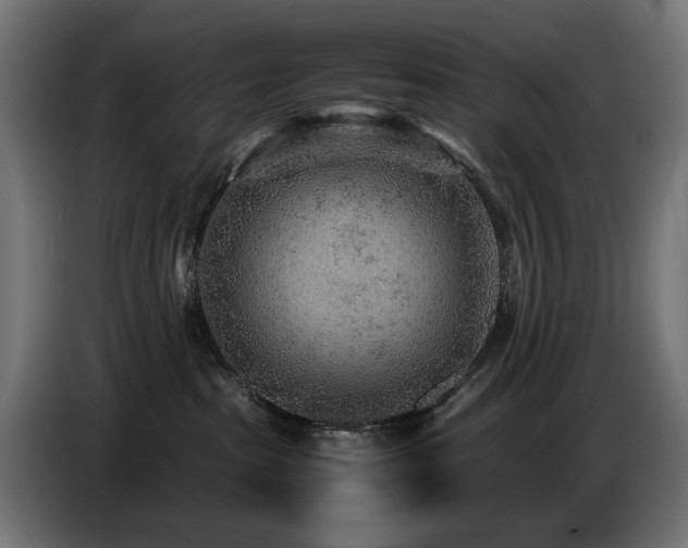 X0000087670285200705041016