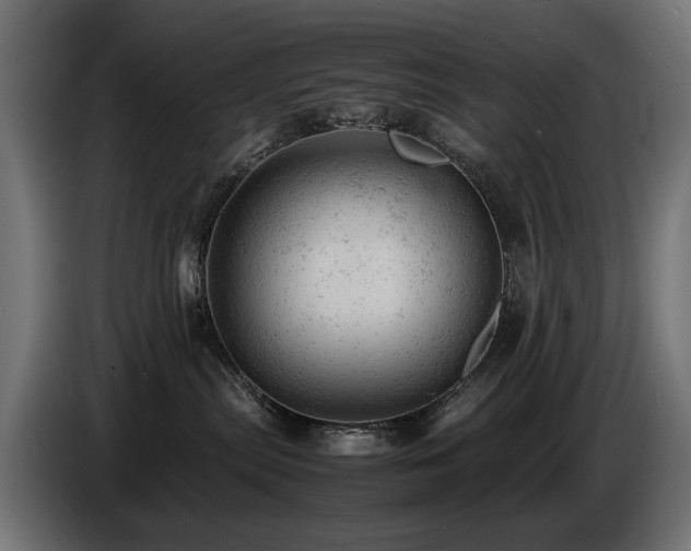 X0000087670287200705041016