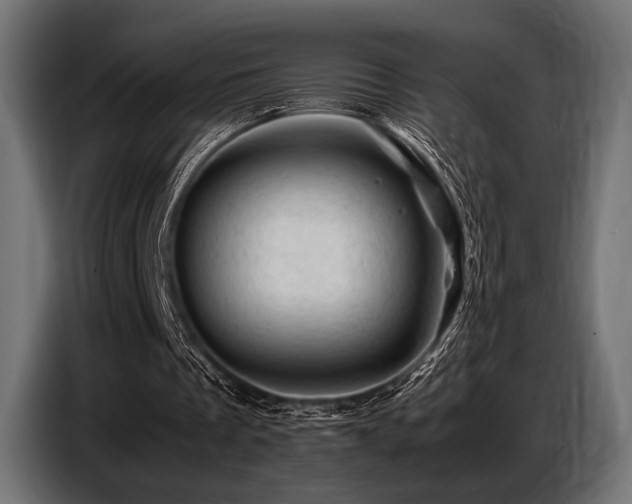 X0000087670289200705041015