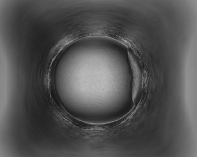 X0000087670290200705041015