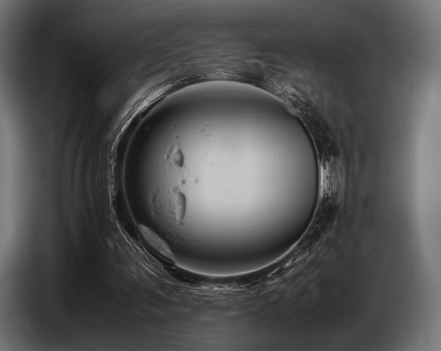 X0000087670291200705041015