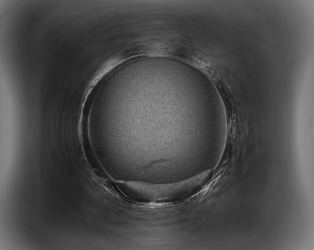 X0000087670292200705041015