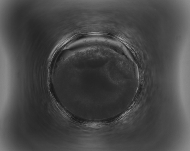 X0000087670293200705041015