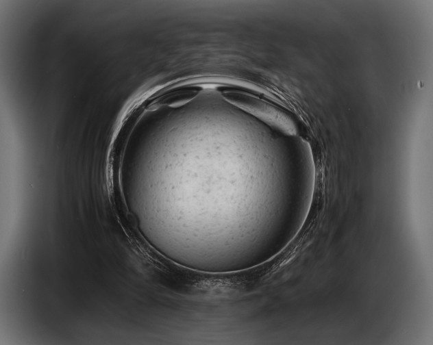 X0000087670294200705041015