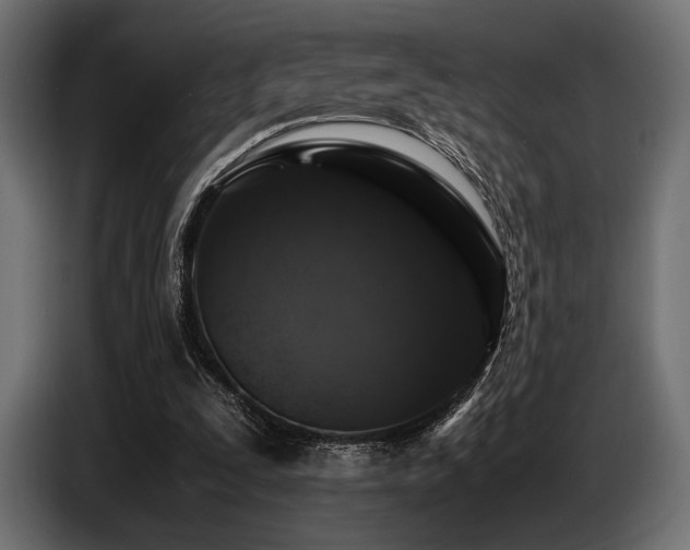 X0000087670295200705041015