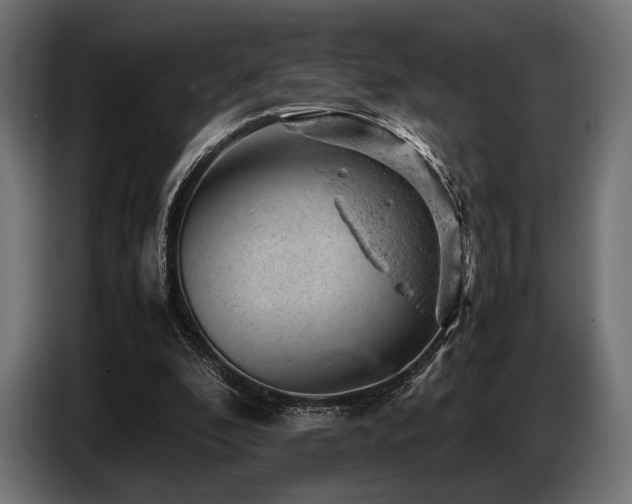 X0000087670296200705041015