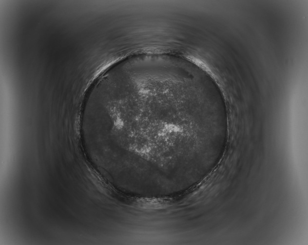 X0000087670297200705041015