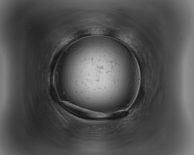 X0000087670299200705041015