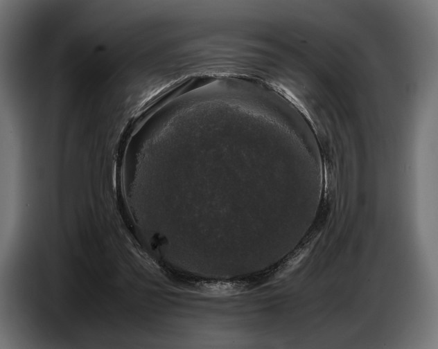 X0000087670301200705041015