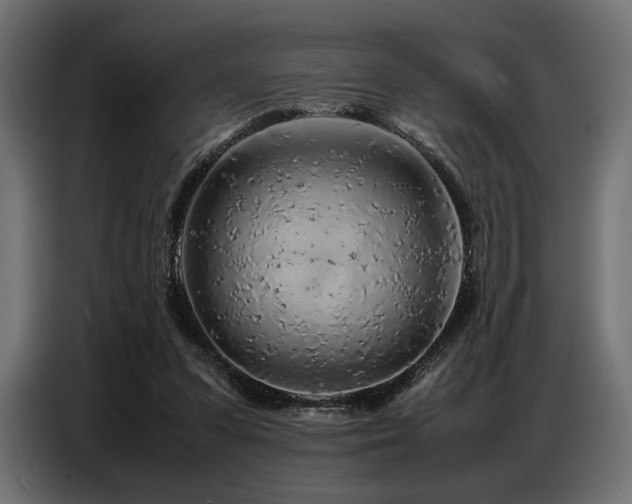 X0000087670303200705041015