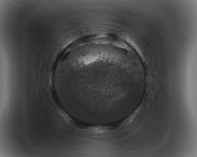 X0000087670305200705041015