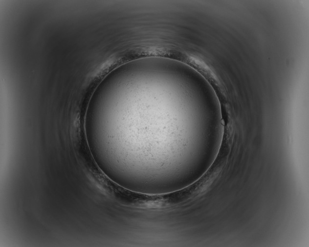 X0000087670306200705041015