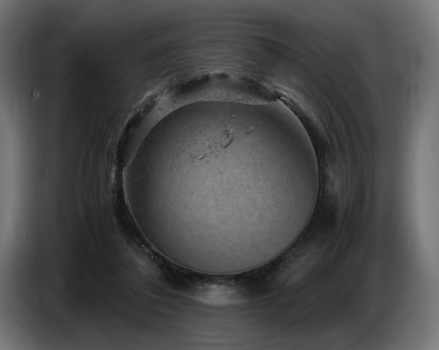 X0000087670308200705041015