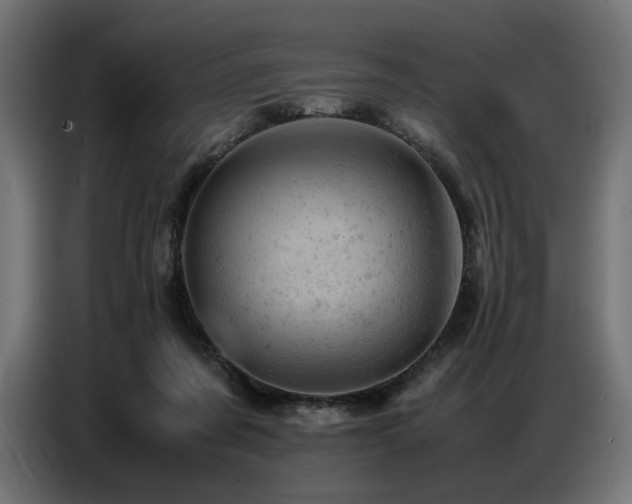 X0000087670311200705041015