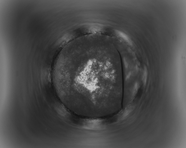 X0000087670313200705041015