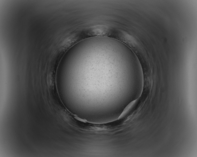 X0000087670317200705041015