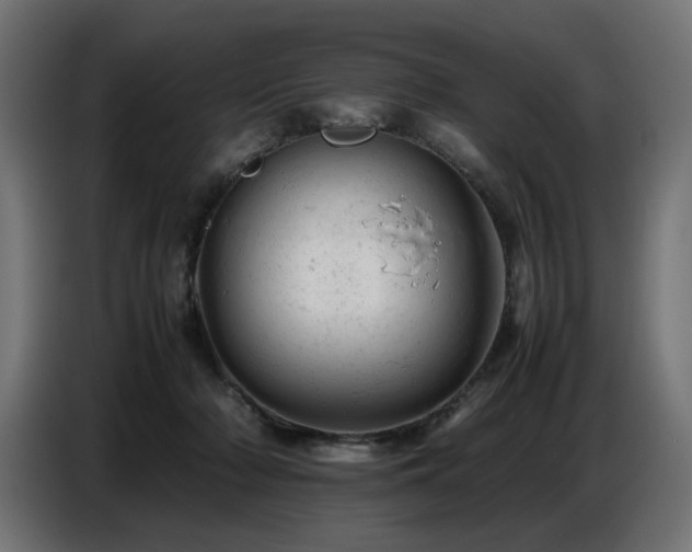 X0000087670318200705041015