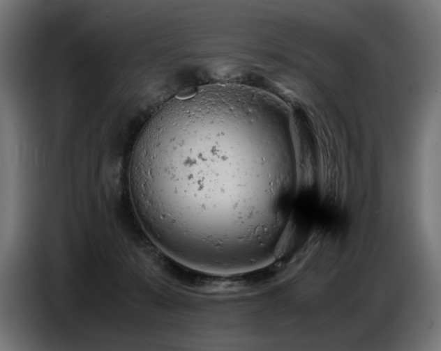 X0000087670319200705041015