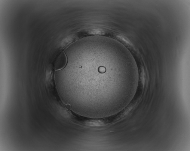 X0000087670322200705041015