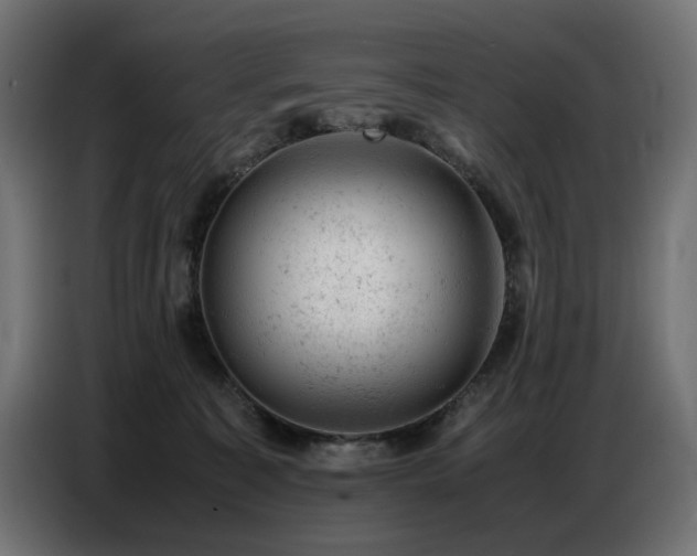 X0000087670323200705041015