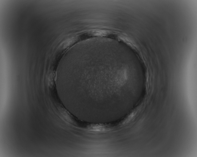 X0000087670325200705041015