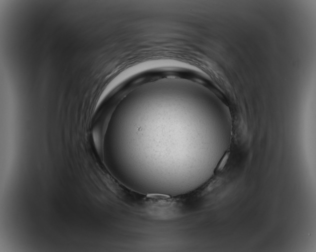 X0000087670329200705041015