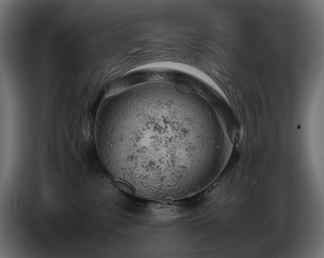 X0000087670331200705041015