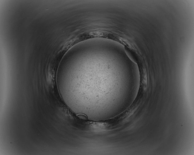 X0000087670332200705041015