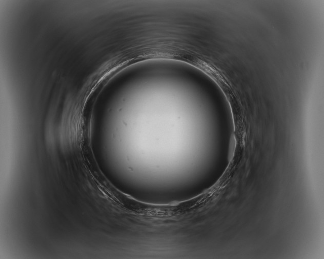 X0000087670338200705041014