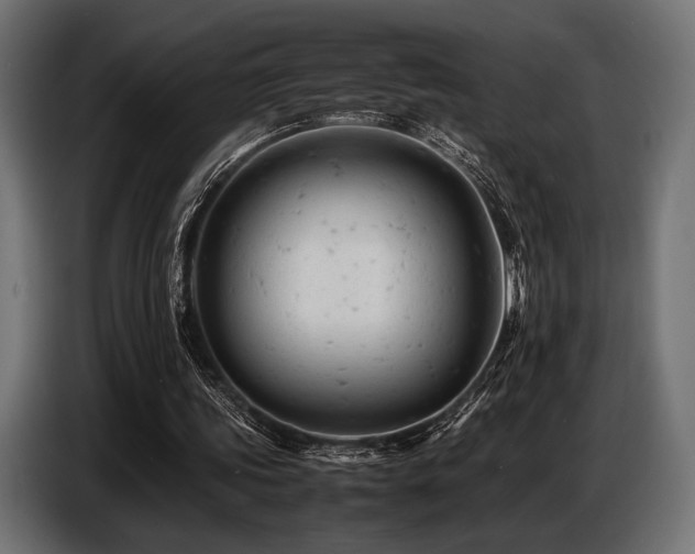 X0000087670339200705041014