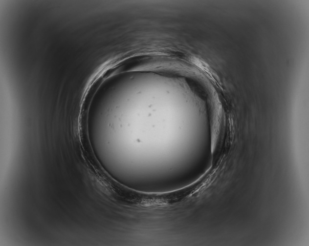 X0000087670340200705041014