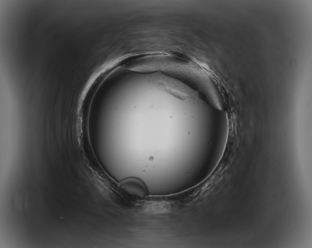 X0000087670342200705041014