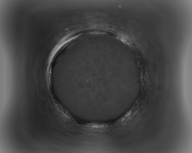 X0000087670343200705041014