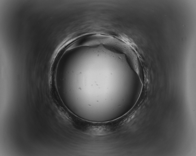 X0000087670344200705041014