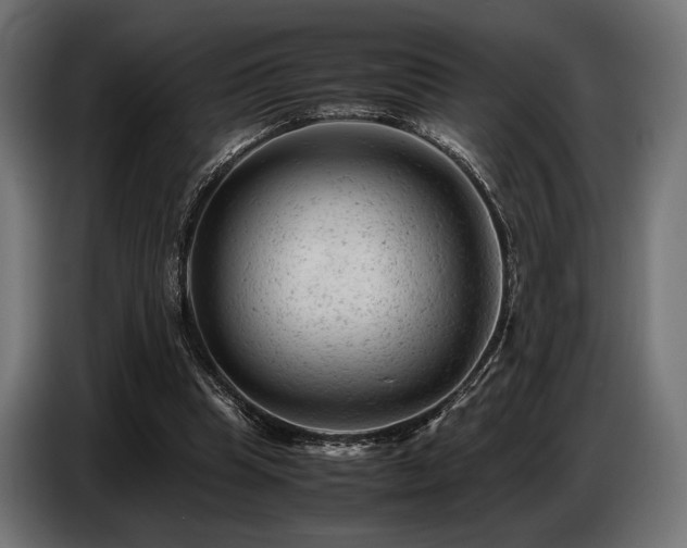 X0000087670345200705041014