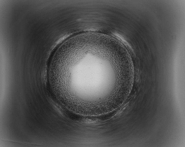 X0000087670346200705041014