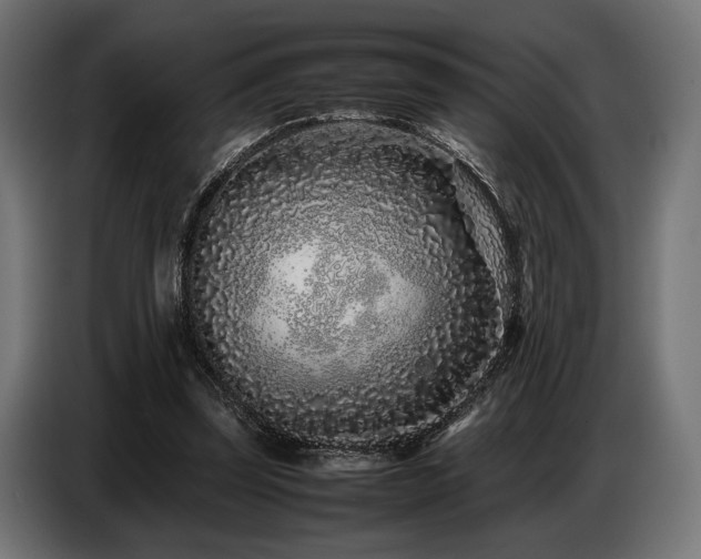 X0000087670347200705041014