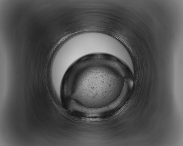 X0000087670348200705041014