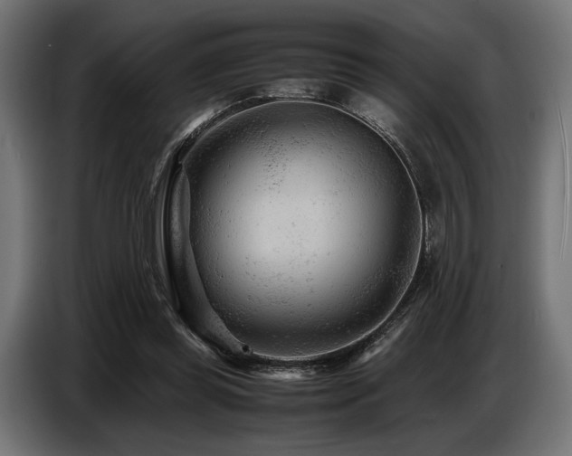 X0000087670349200705041014