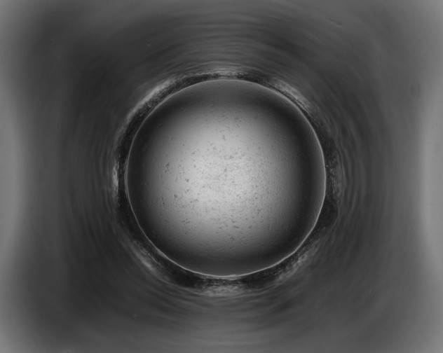 X0000087670350200705041014