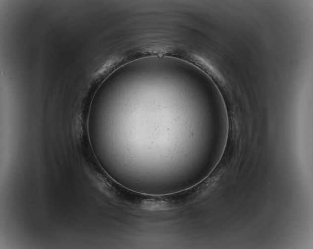 X0000087670354200705041014