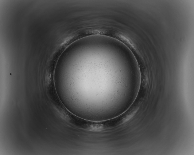 X0000087670355200705041014