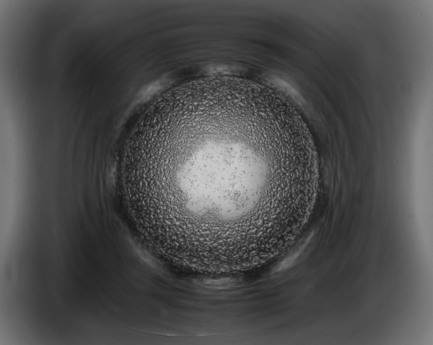 X0000087670357200705041014