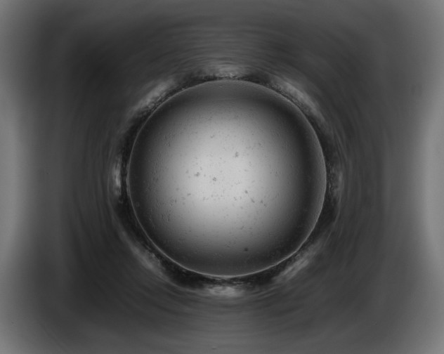 X0000087670358200705041014