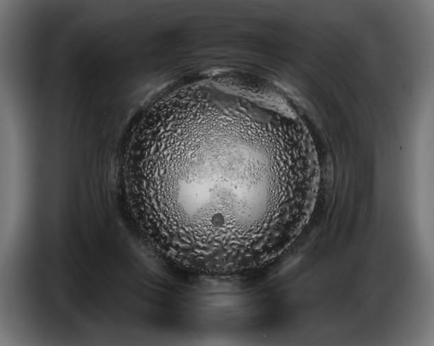 X0000087670359200705041014