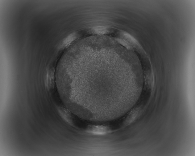 X0000087670360200705041014